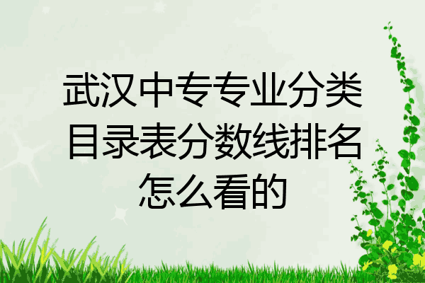 武汉中专专业分类目录表分数线排名怎么看的
