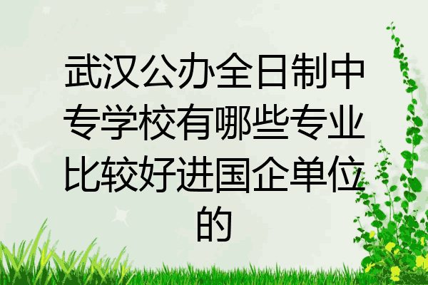 武汉公办全日制中专学校有哪些专业比较好进国企单位的
