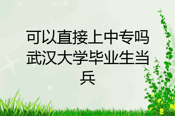 可以直接上中专吗武汉大学毕业生当兵