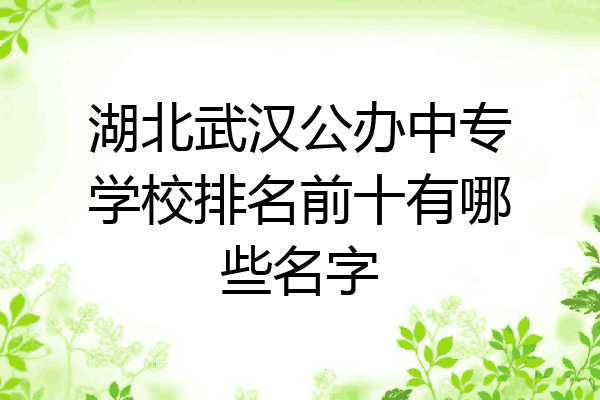 湖北武汉公办中专学校排名前十有哪些名字
