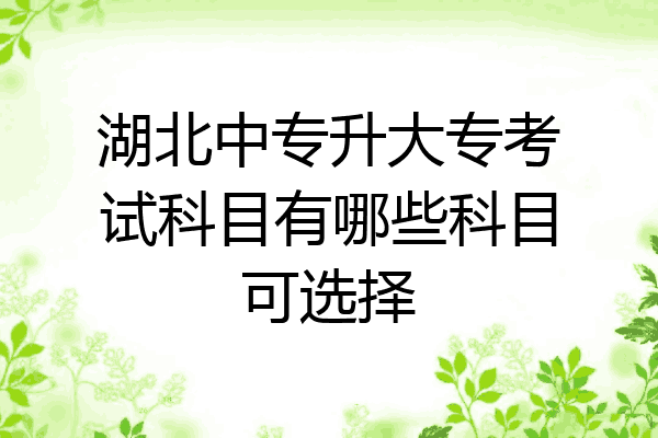 湖北中专升大专考试科目有哪些科目可选择
