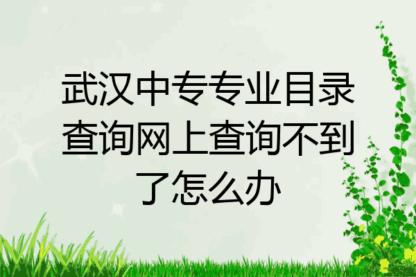 武汉中专专业目录查询网上查询不到了怎么办