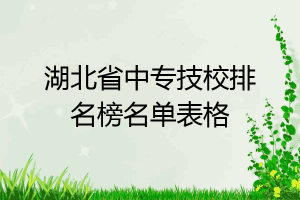 湖北省中专技校排名榜名单表格