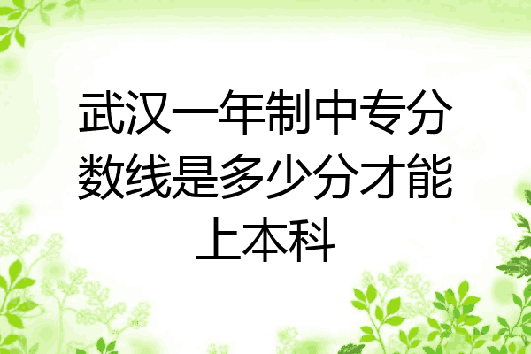 武汉一年制中专分数线是多少分才能上本科