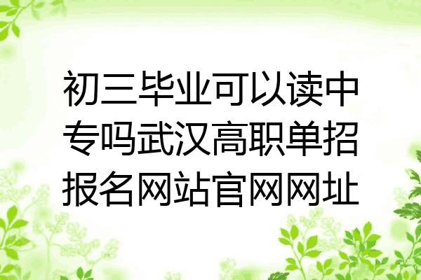 初三毕业可以读中专吗武汉高职单招报名网站官网网址