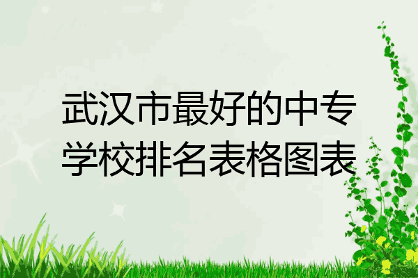 武汉市最好的中专学校排名表格图表