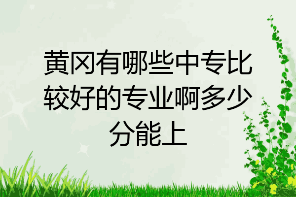 黄冈有哪些中专比较好的专业啊多少分能上