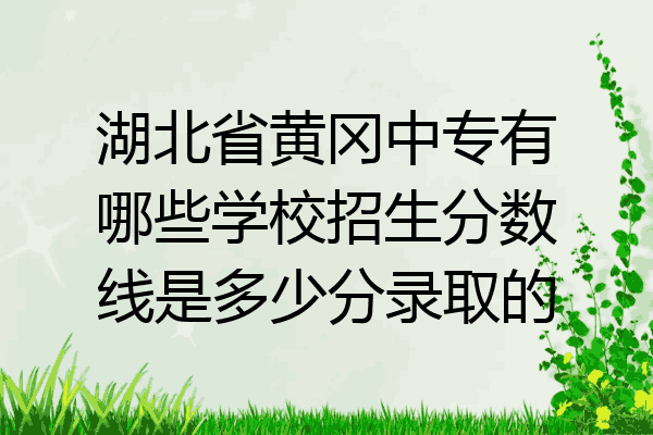 湖北省黄冈中专有哪些学校招生分数线是多少分录取的