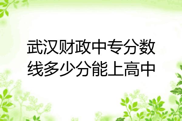 武汉财政中专分数线多少分能上高中