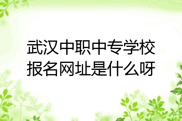 武汉中职中专学校报名网址是什么呀