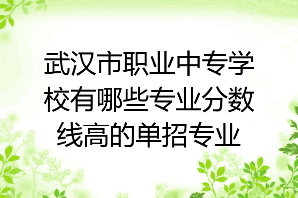 武汉市职业中专学校有哪些专业分数线高的单招专业