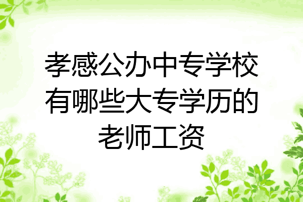 孝感公办中专学校有哪些大专学历的老师工资
