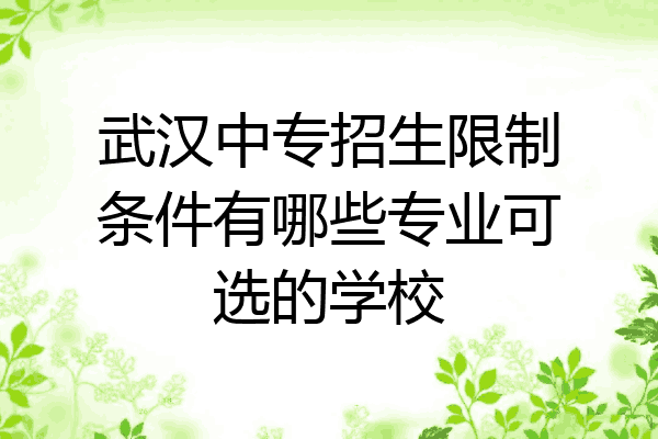 武汉中专招生限制条件有哪些专业可选的学校