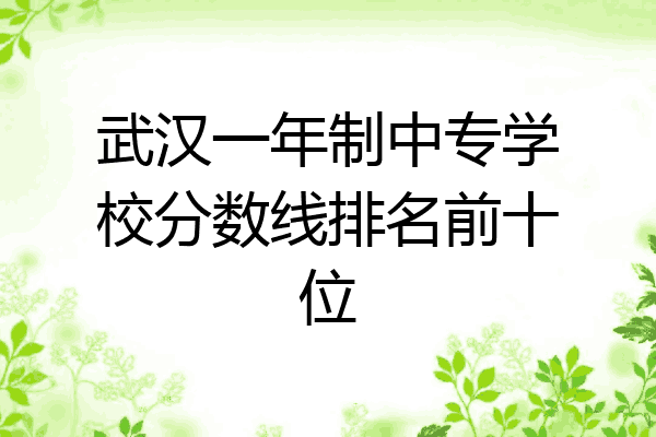 武汉一年制中专学校分数线排名前十位
