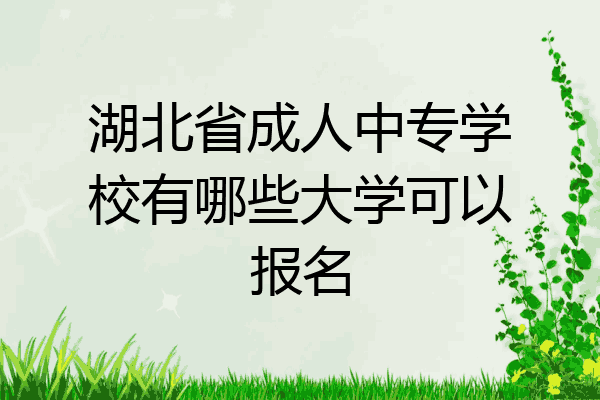 湖北省成人中专学校有哪些大学可以报名