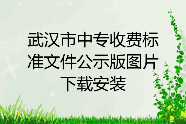 武汉市中专收费标准文件公示版图片下载安装