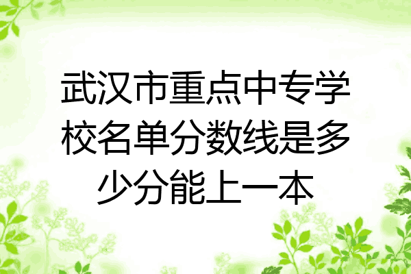 武汉市重点中专学校名单分数线是多少分能上一本