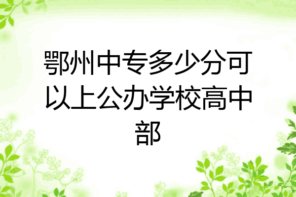 鄂州中专多少分可以上公办学校高中部