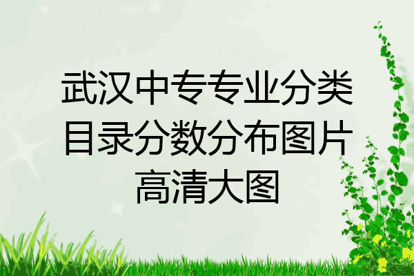 武汉中专专业分类目录分数分布图片高清大图