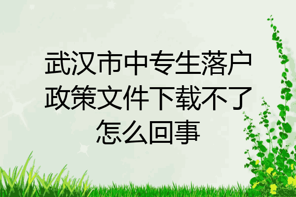 武汉市中专生落户政策文件下载不了怎么回事