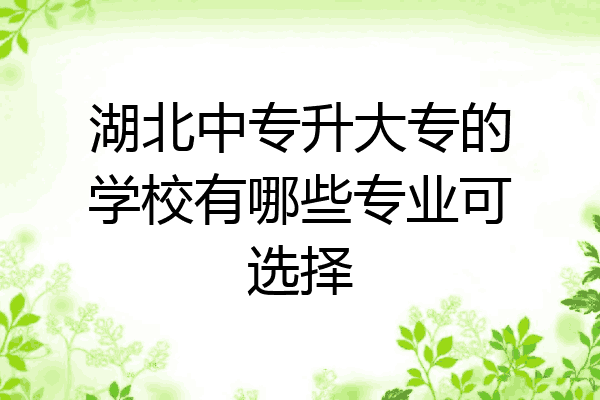 湖北中专升大专的学校有哪些专业可选择