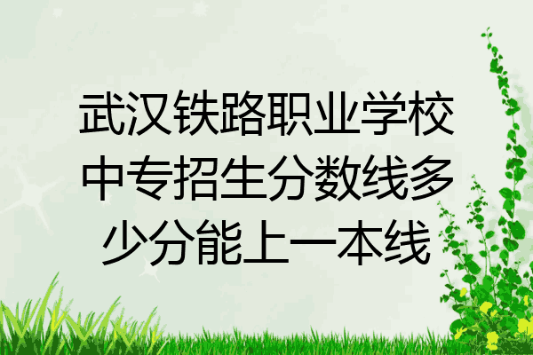 武汉铁路职业学校中专招生分数线多少分能上一本线