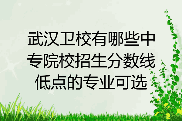武汉卫校有哪些中专院校招生分数线低点的专业可选