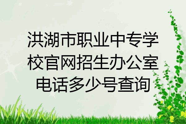 洪湖市职业中专学校官网招生办公室电话多少号查询