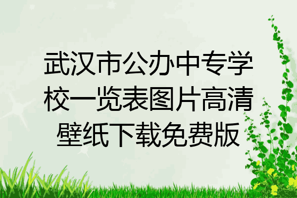 武汉市公办中专学校一览表图片高清壁纸下载免费版