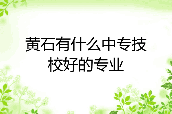 黄石有什么中专技校好的专业