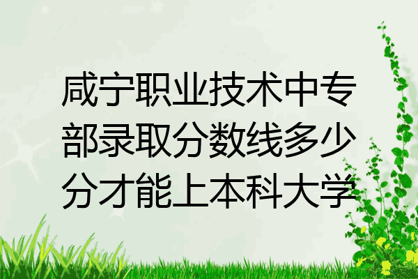 咸宁职业技术中专部录取分数线多少分才能上本科大学