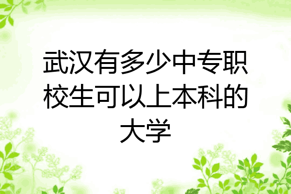 武汉有多少中专职校生可以上本科的大学