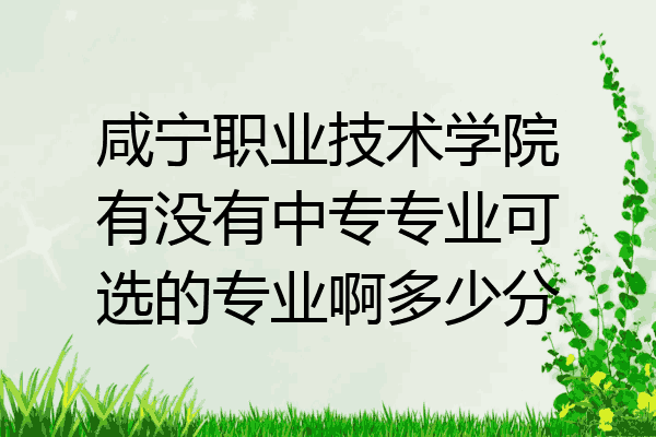 咸宁职业技术学院有没有中专专业可选的专业啊多少分