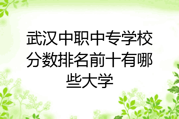 武汉中职中专学校分数排名前十有哪些大学