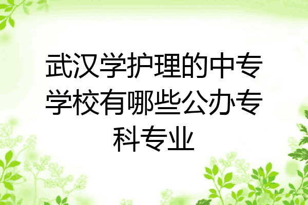 武汉学护理的中专学校有哪些公办专科专业