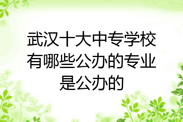 武汉十大中专学校有哪些公办的专业是公办的