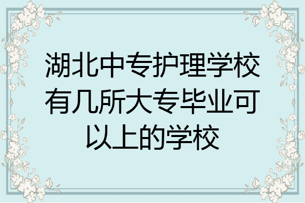 湖北中专护理学校有几所大专毕业可以上的学校