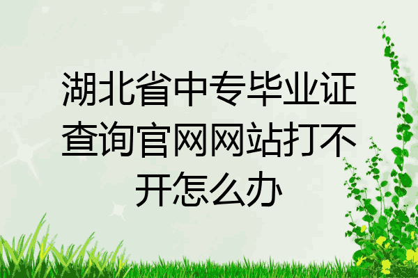 湖北省中专毕业证查询官网网站打不开怎么办