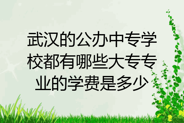 武汉的公办中专学校都有哪些大专专业的学费是多少