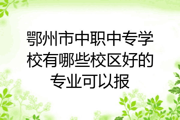 鄂州市中职中专学校有哪些校区好的专业可以报