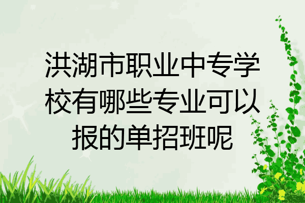 洪湖市职业中专学校有哪些专业可以报的单招班呢