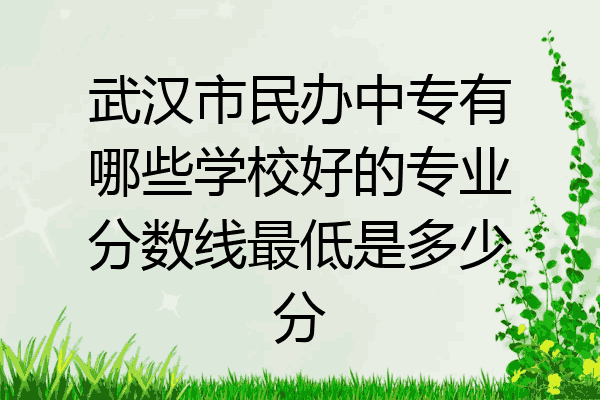 武汉市民办中专有哪些学校好的专业分数线最低是多少分