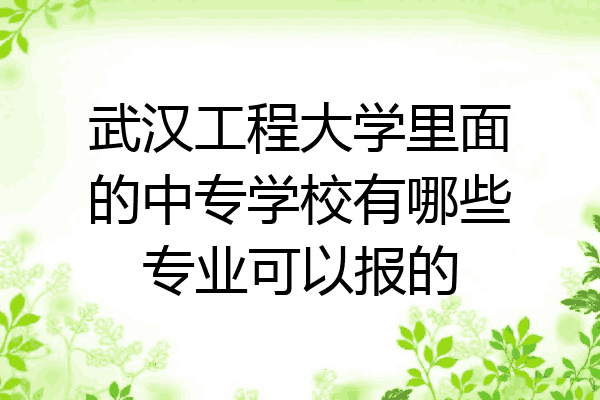 武汉工程大学里面的中专学校有哪些专业可以报的