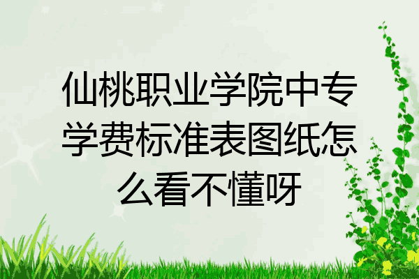 仙桃职业学院中专学费标准表图纸怎么看不懂呀