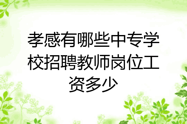 孝感有哪些中专学校招聘教师岗位工资多少