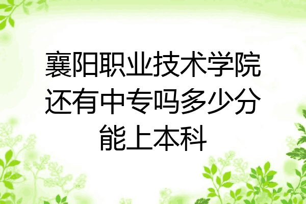 襄阳职业技术学院还有中专吗多少分能上本科