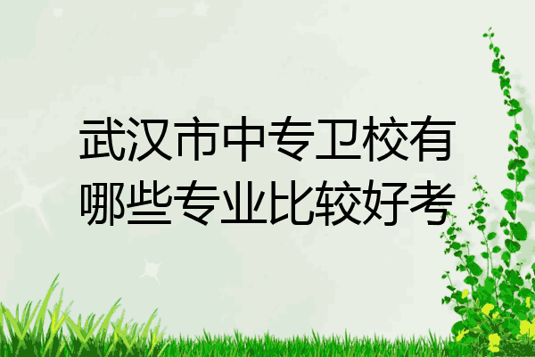 武汉市中专卫校有哪些专业比较好考