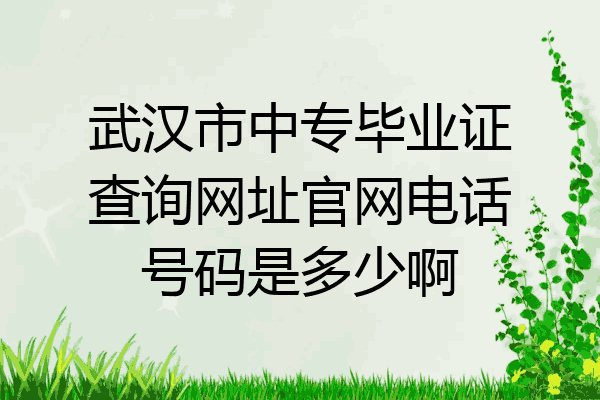 武汉市中专毕业证查询网址官网电话号码是多少啊