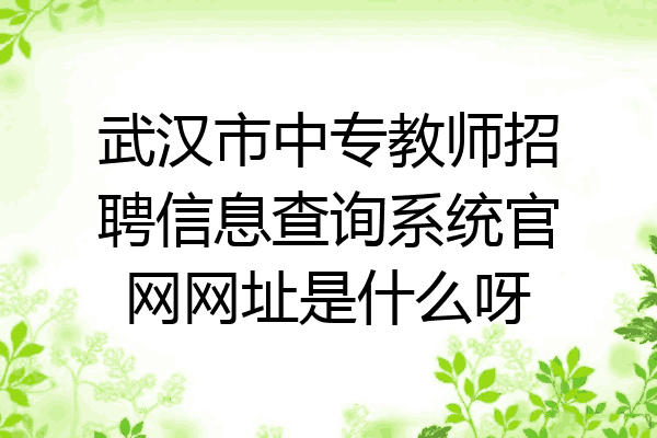 武汉市中专教师招聘信息查询系统官网网址是什么呀