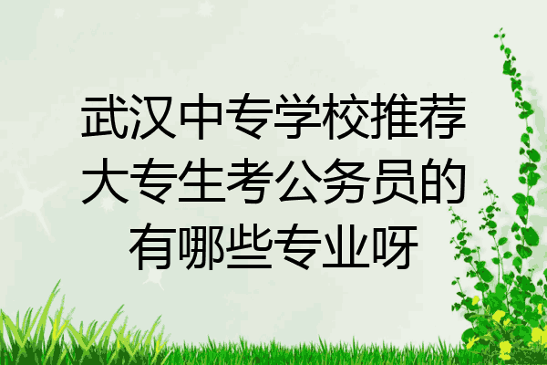 武汉中专学校推荐大专生考公务员的有哪些专业呀
